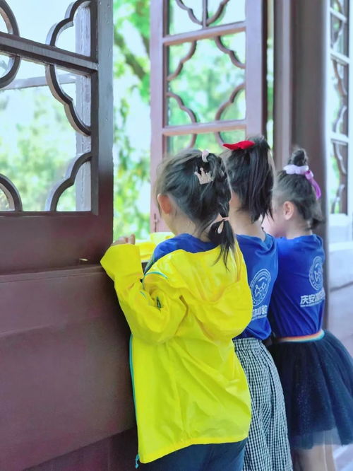 百年奇志 始于红船 诺亚舟庆安小剑桥幼儿园走进南湖